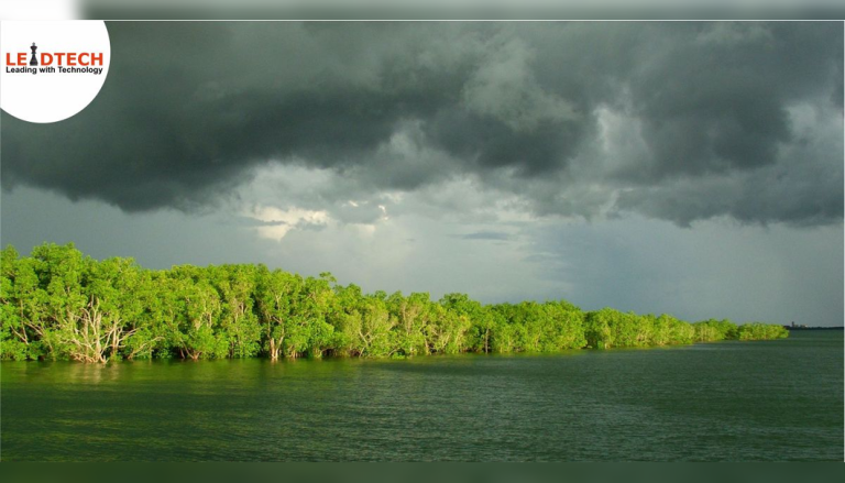 Can Monsoon be a game changer for the Indian Economy during Covid-19